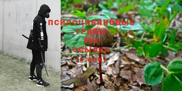 бошки Зерноград